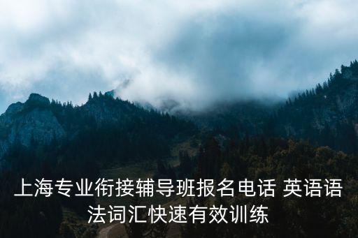 上海專業銜接輔導班報名電話 英語語法詞匯快速有效訓練