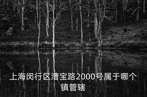 上海閔行區漕寶路2000號屬于哪個鎮管轄