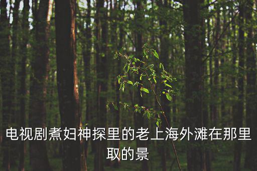 電視劇煮婦神探里的老上海外灘在那里取的景