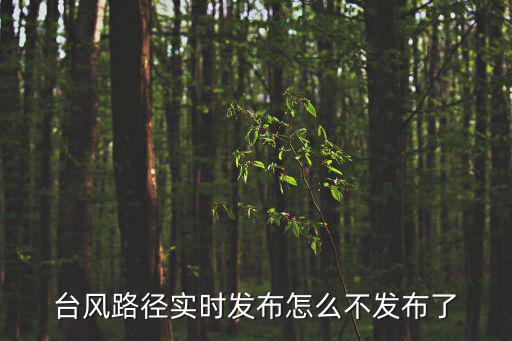 臺風(fēng)路徑實時發(fā)布，臺風(fēng)路徑實時發(fā)布系統(tǒng)那個比較準(zhǔn)