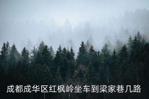 成都成華區(qū)紅楓嶺坐車到梁家巷幾路