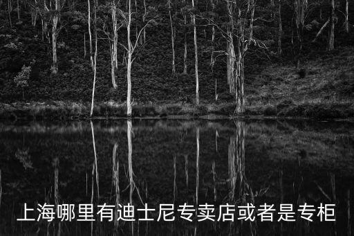 迪士尼專賣店，上海有哪些地方有迪士尼專賣店