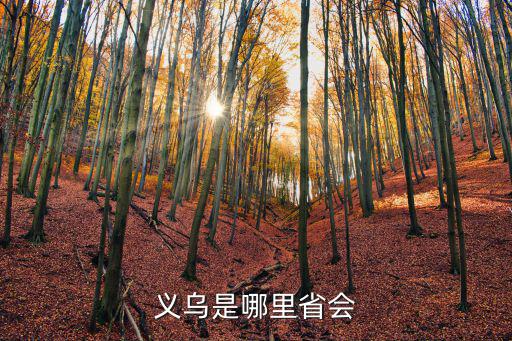 義烏是哪里省會