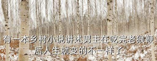 有一本鄉村小說講述男主在吃完老狼鞭后人生就變的不一樣了