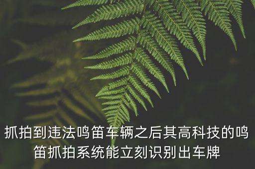 鳴笛抓拍，其高科技的鳴笛抓拍系統是全天24小時都會抓拍違法鳴笛嗎