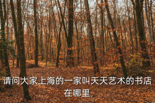 請問大家上海的一家叫天天藝術的書店在哪里