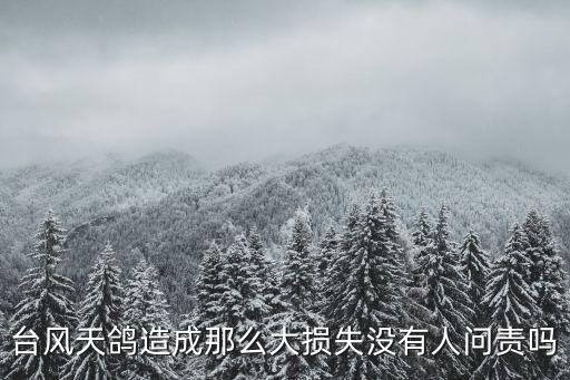 臺風天鴿造成那么大損失沒有人問責嗎