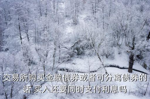 交易所購買金融債券或者可分離債券的話 買入還要同時支付利息嗎
