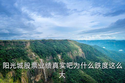 陽光城股吧，陽光城股票業(yè)績真實吧為什么跌度這么大