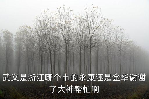 武義是浙江哪個(gè)市的永康還是金華謝謝了大神幫忙啊