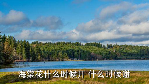海棠花什么時候開，海棠花什么時候開 什么時候謝