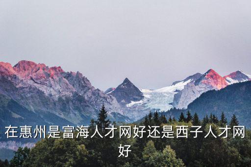 在惠州是富海人才網(wǎng)好還是西子人才網(wǎng)好
