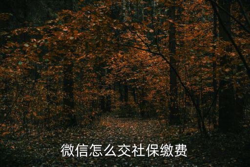 微信怎么交社保繳費