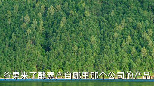 谷果來了酵素產自哪里那個公司的產品