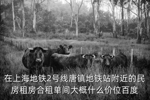 在上海地鐵2號線唐鎮(zhèn)地鐵站附近的民房租房合租單間大概什么價位百度