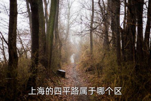 上海的四平路屬于哪個區