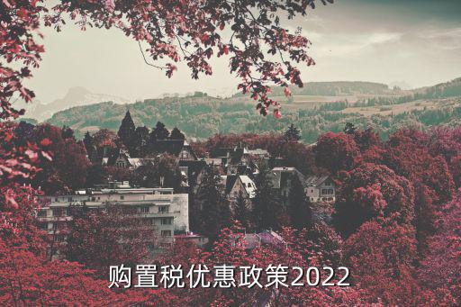 購置稅優惠政策2022