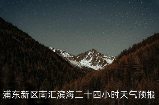 浦東新區(qū)南匯濱海二十四小時天氣預(yù)報