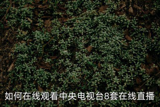 如何在線觀看中央電視臺8套在線直播