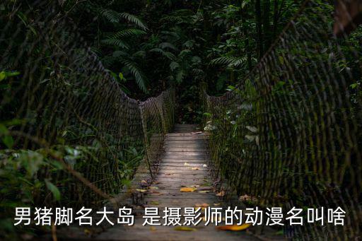 男豬腳名大島 是攝影師的動漫名叫啥