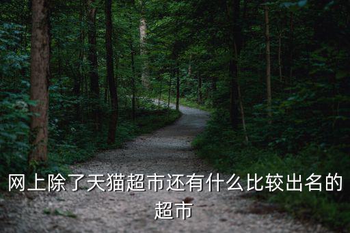 網上除了天貓超市還有什么比較出名的超市