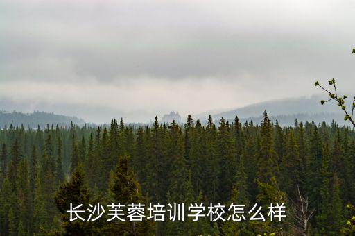 芙蓉學(xué)校，湖南文理學(xué)院芙蓉學(xué)院