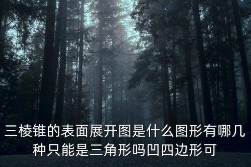 三棱錐的表面展開圖是什么圖形有哪幾種只能是三角形嗎凹四邊形可