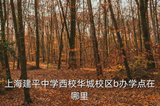 上海建平中學西校華城校區b辦學點在哪里