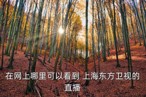 上海東方衛視直播，上海東方衛視壹周立波秀播出時間是什么時候