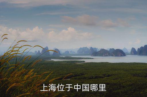 上海位于中國哪里