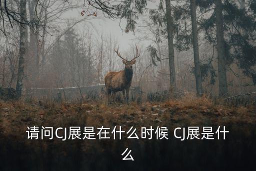 請問CJ展是在什么時候 CJ展是什么
