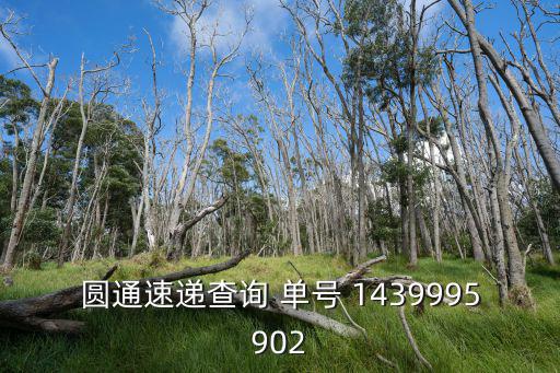 圓通速遞查詢 單號 1439995902