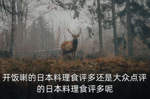食評，開飯喇武漢站寫食評是不是真的有禮品相送