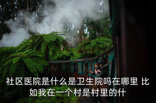 社區衛生院，社區醫院是什么是衛生院嗎在哪里 比如我在一個村是村里的什
