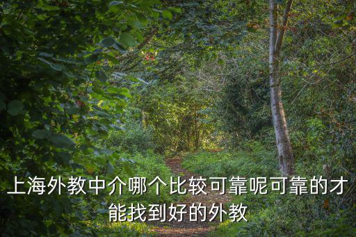 上海外教網(wǎng)，上海外教招聘網(wǎng)哪個比較可靠呢可靠的讓人放心