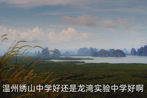 溫州繡山中學(xué)好還是龍灣實驗中學(xué)好啊