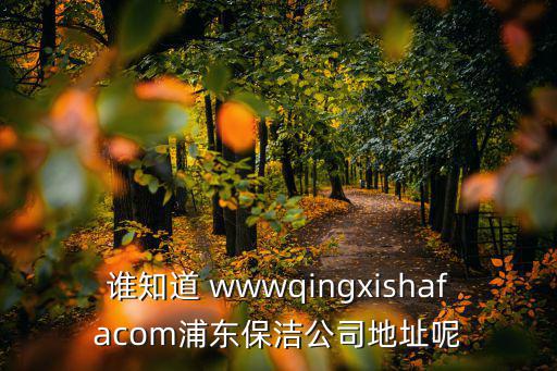 誰知道 wwwqingxishafacom浦東保潔公司地址呢