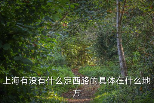 上海定西路，定西路屬于哪個區(qū)的