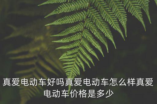 真愛電動車好嗎真愛電動車怎么樣真愛電動車價格是多少