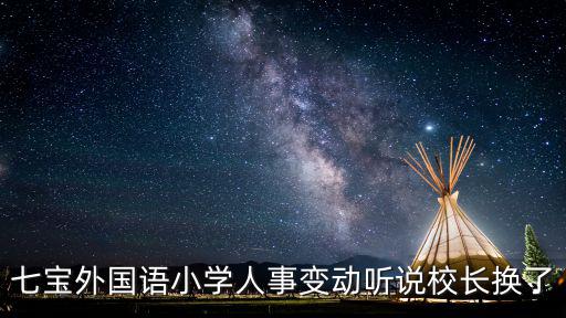 七寶外國語小學，七寶外國語小學和世外哪個好