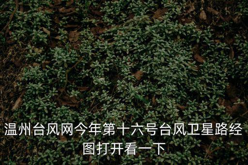 溫州臺風網今年第十六號臺風衛星路經圖打開看一下
