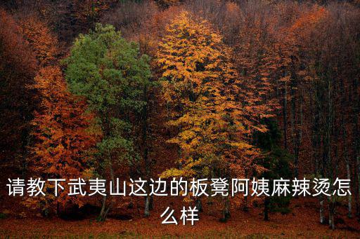 阿姨麻辣燙，板凳阿姨麻辣燙的特色是一人一鍋嗎