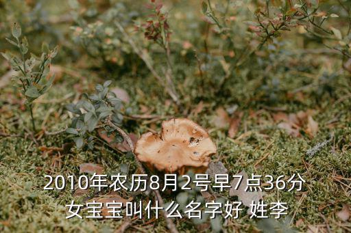 2010年農(nóng)歷8月2號(hào)早7點(diǎn)36分 女寶寶叫什么名字好 姓李