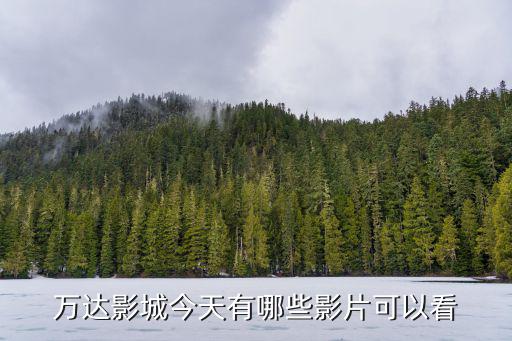萬達影城今日影片，萬達影城明日影訊11點電影