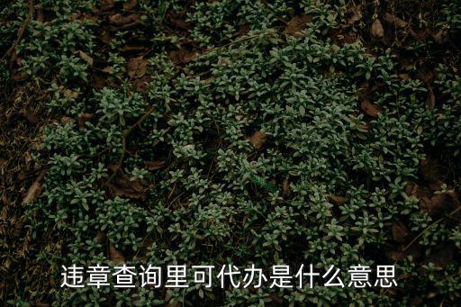 違章代辦，違章查詢里可代辦是什么意思