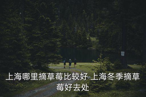 上海哪里摘草莓比較好 上海冬季摘草莓好去處