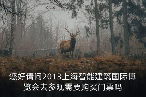 您好請問2013上海智能建筑國際博覽會去參觀需要購買門票嗎