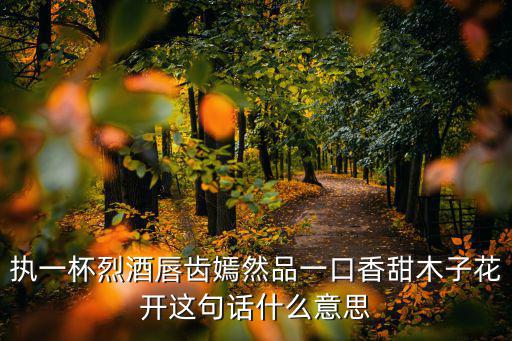 品一口，執一杯烈酒唇齒嫣然品一口香甜木子花開這句話什么意思