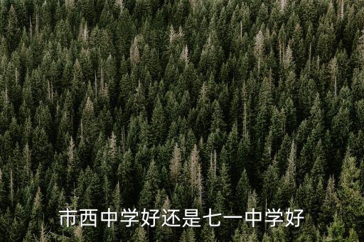 市西中學(xué)，能介紹下市西中學(xué)么