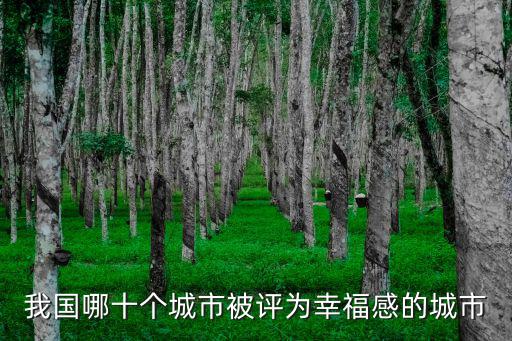 中國最具幸福感城市，中國最具幸福感的城市